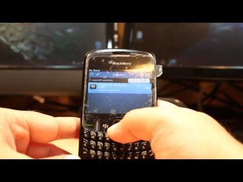 Fake Blackberry Id